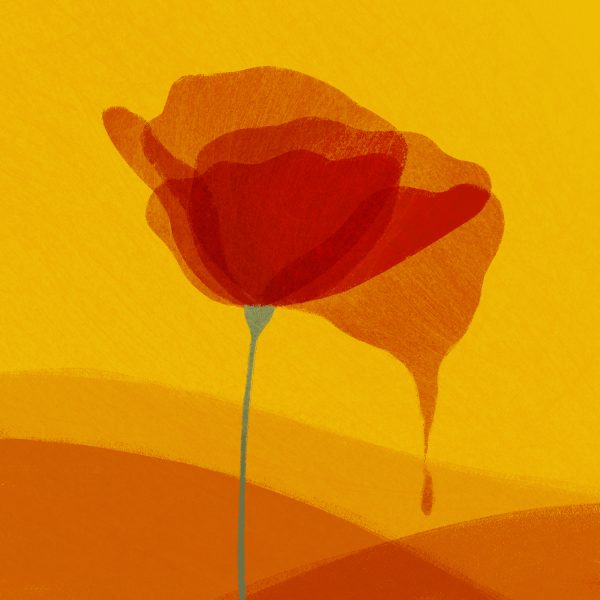 25 april