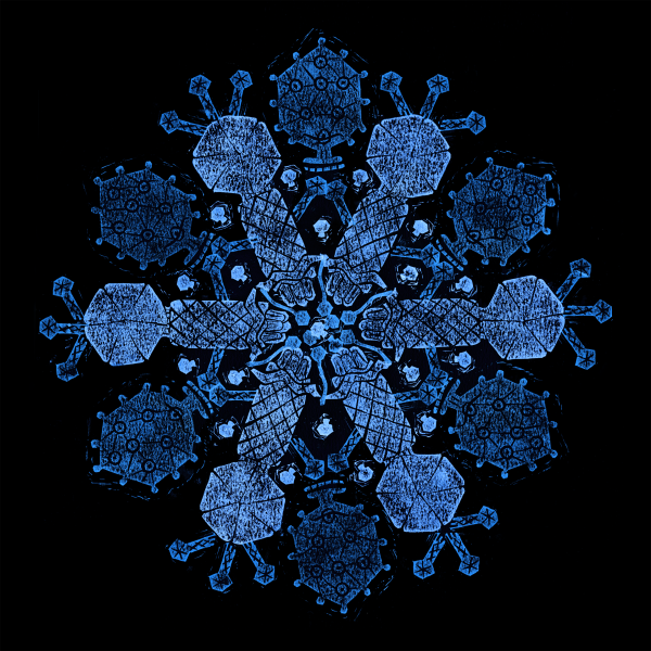 Phage snowflake