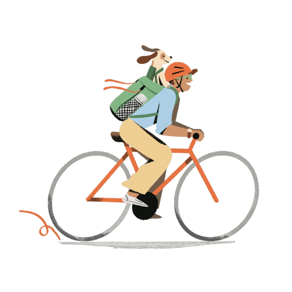 Bike to work