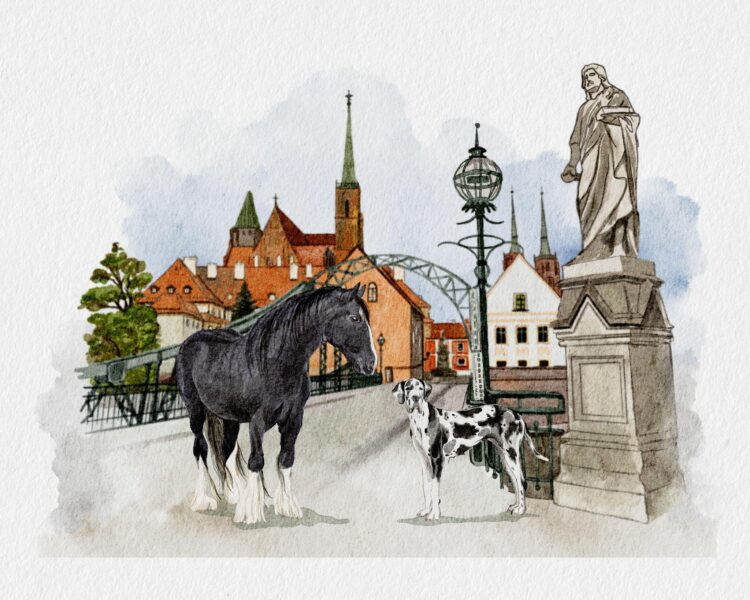 Shire Horse and Dalmatian dog in Wroclaw