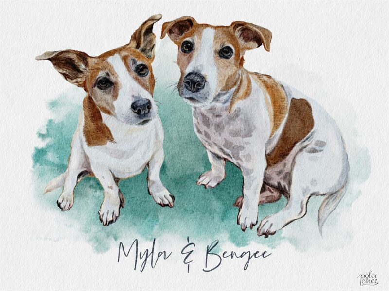 Jack Russell dogs portrait, digital watercolor
