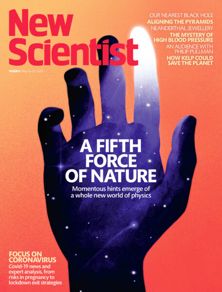 NEW SCIENTIST - A FIFTH FORCE OF NATURE