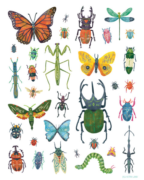 Illustration of colorful insects