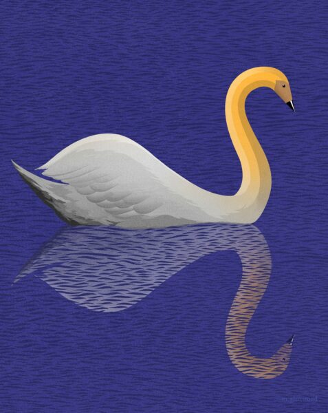 MG Pencil Swan