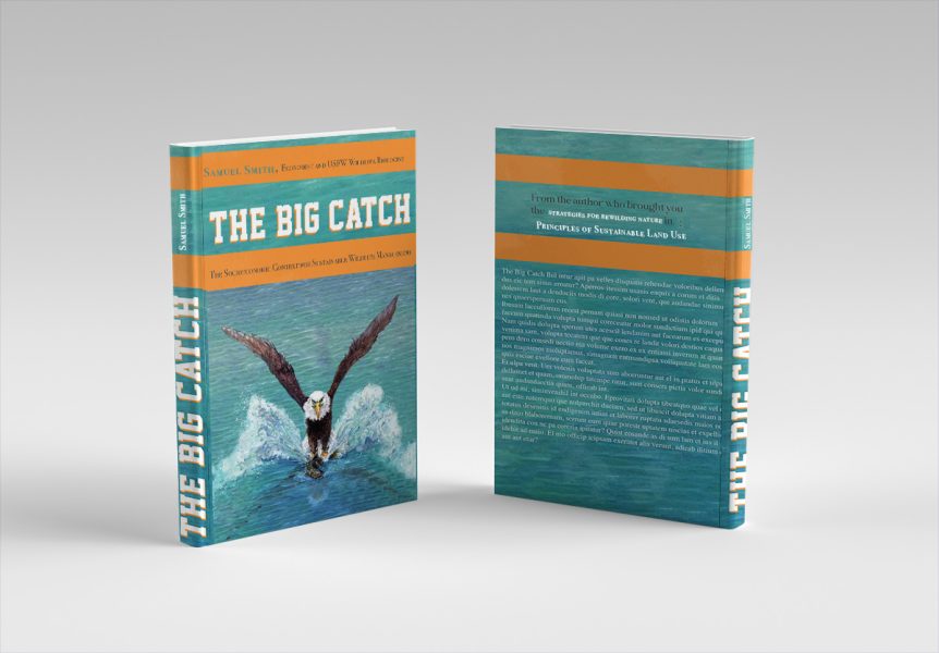 Big_Catch_Book_cover_Mock_up_150dpi