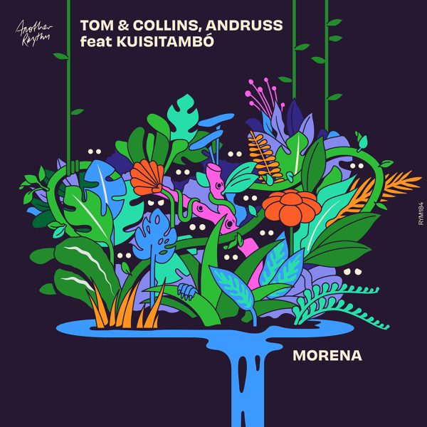 TOM & COLLINS - Morena