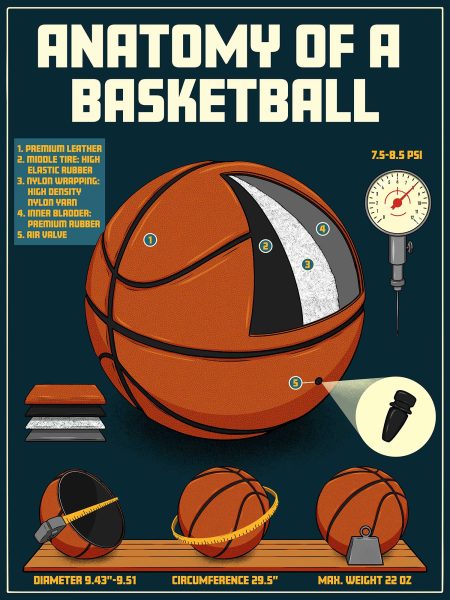 Anatomyofabasketball_IllustrationX