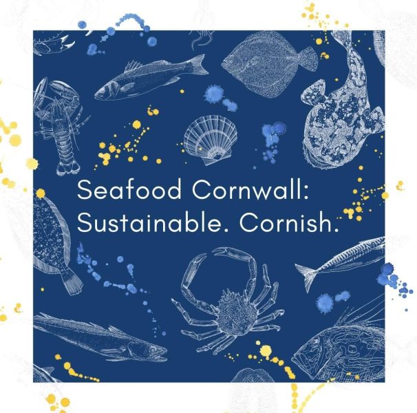 Seafood Cornwall social media