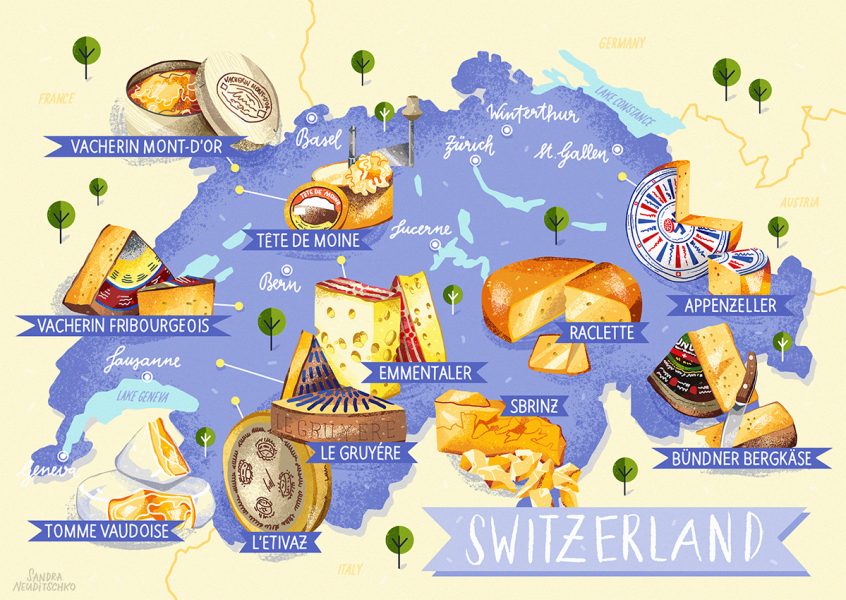 schweizer käse web food illustration