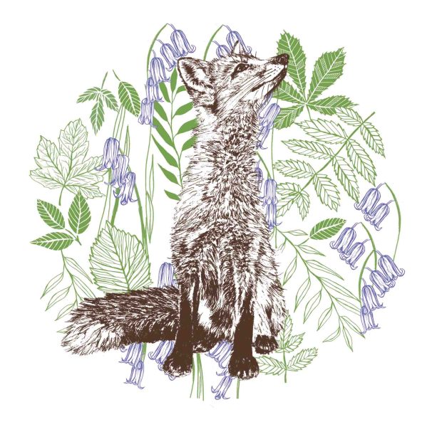 Cherith Harrison Spot Illustrations Fox