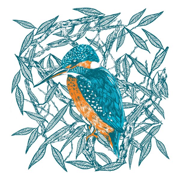 Cherith Harrison Spot Illustrations Kingfisher