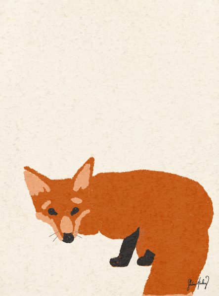 fox_shonahanley