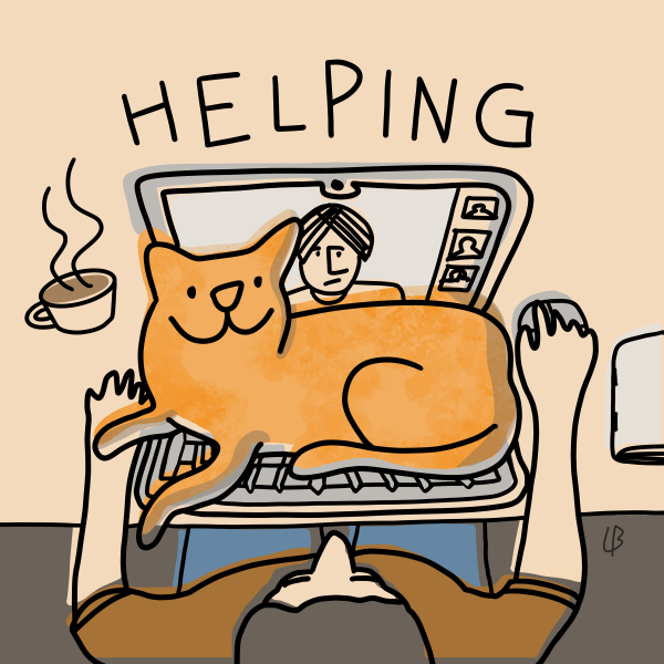 Helping cat