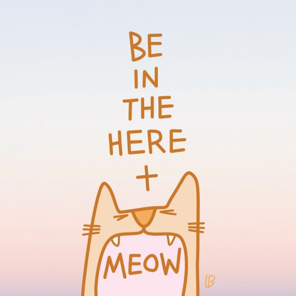 Here and meow