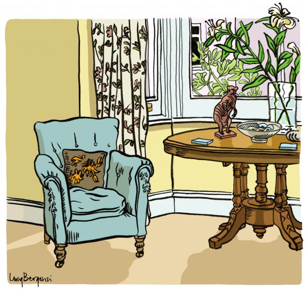 A Cat-Scratched Chair & A Wire Weasel