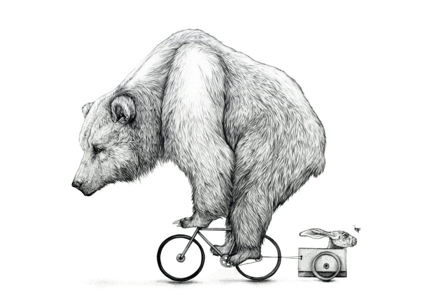 Bear Biking