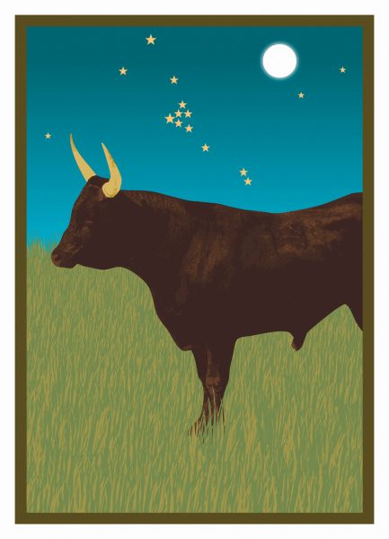 Bull
