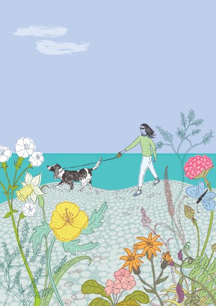 Dog walking in Summer at the Beach