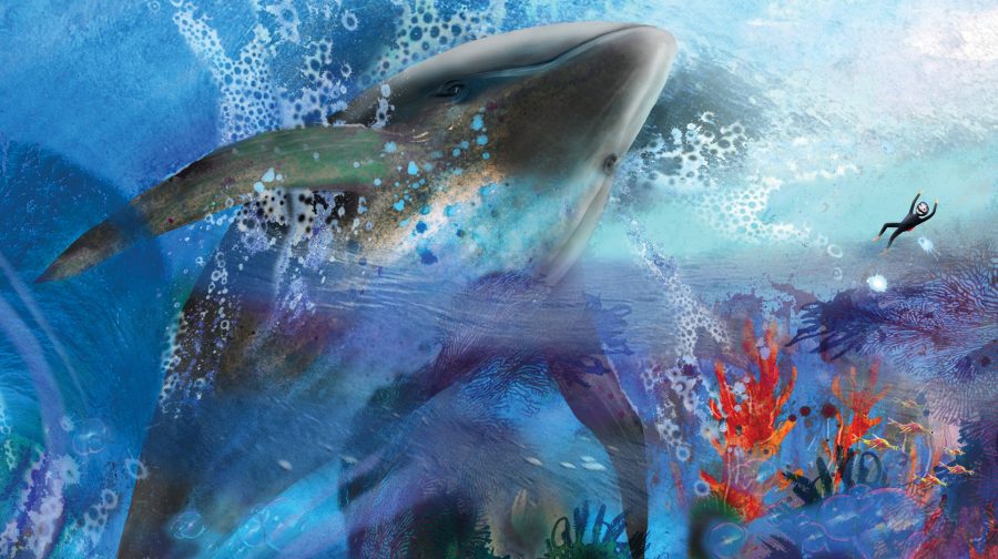 Dreamer: the whale