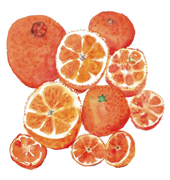 Jamie Oliver, Oranges