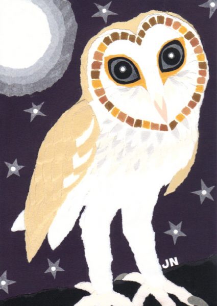 Little Barn Owl