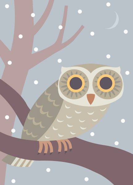 Little Owl Card
