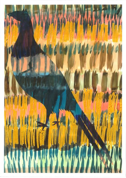 Pheasant