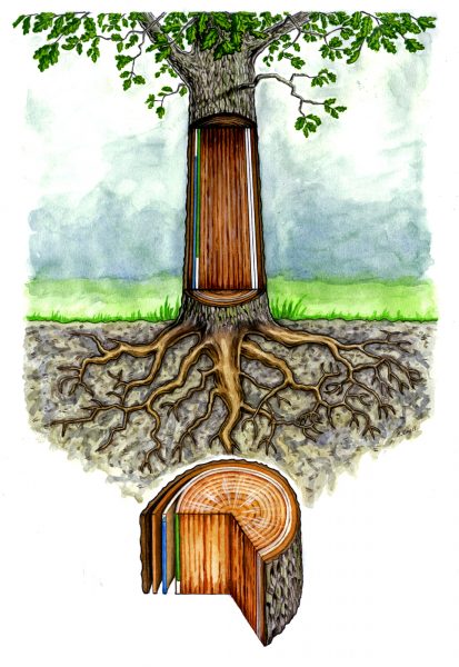 Tree trail educational cross section